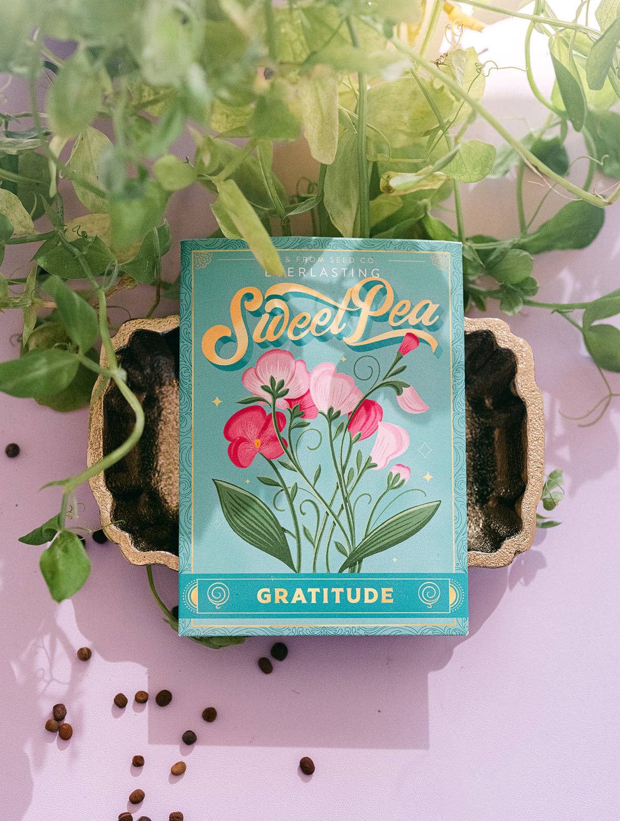 Sweet Pea - Floriography Seed Packet (Gratitude)