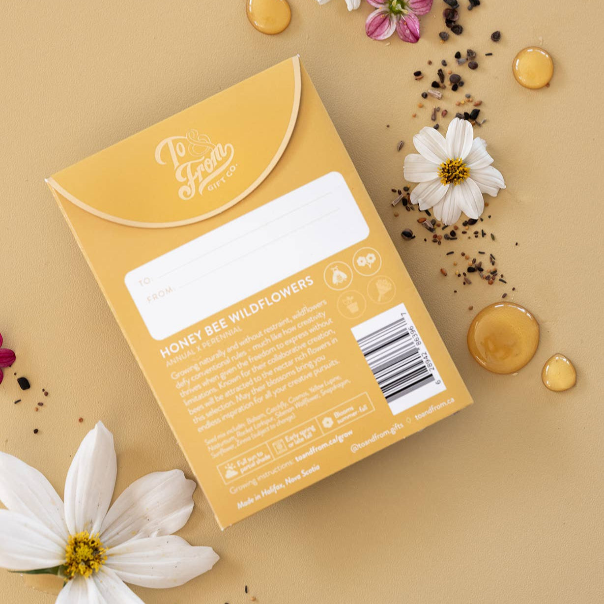 Seed Packet | Creativity (Wildflowers )
