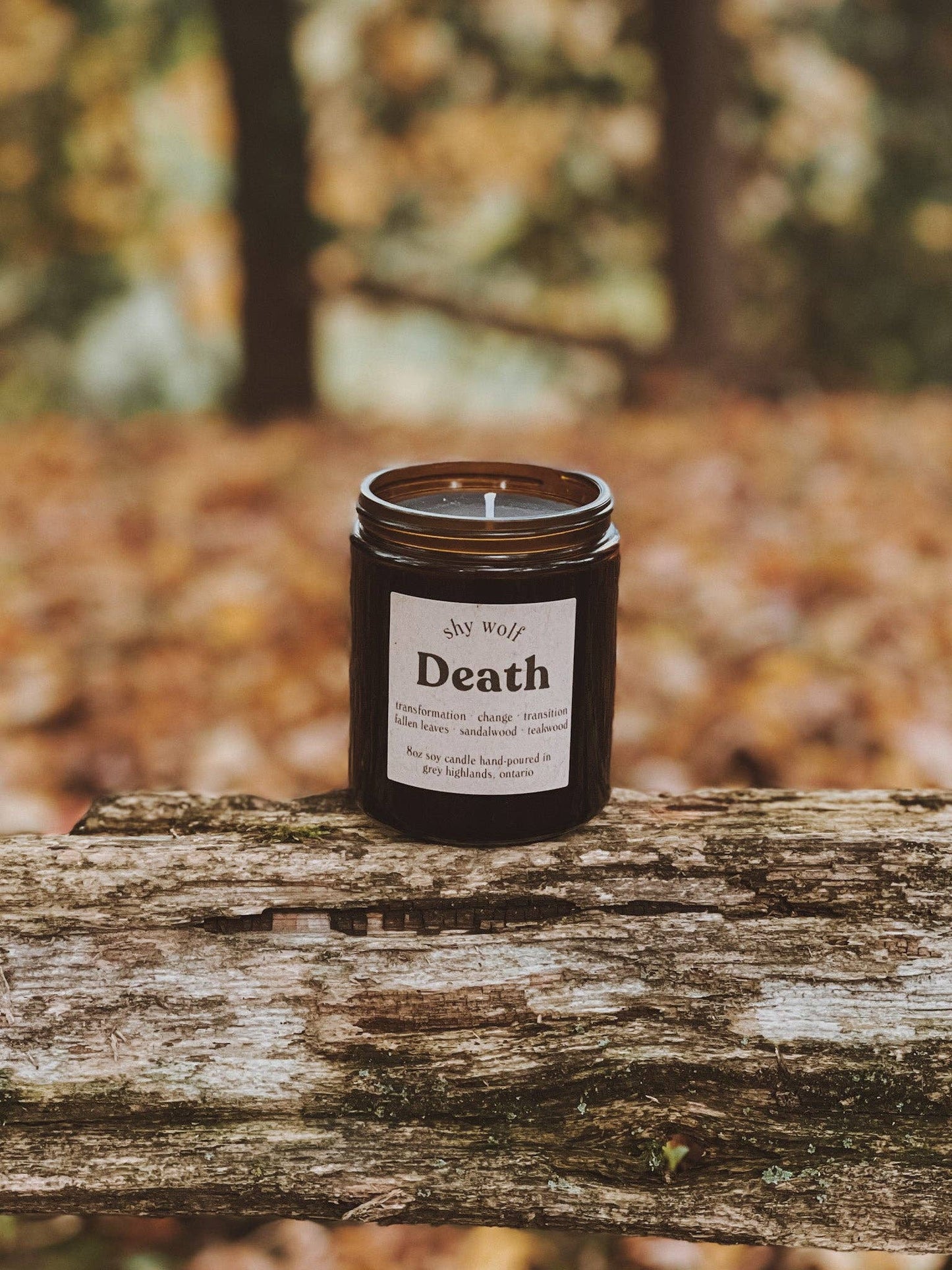 Candle  |  Tarot Death