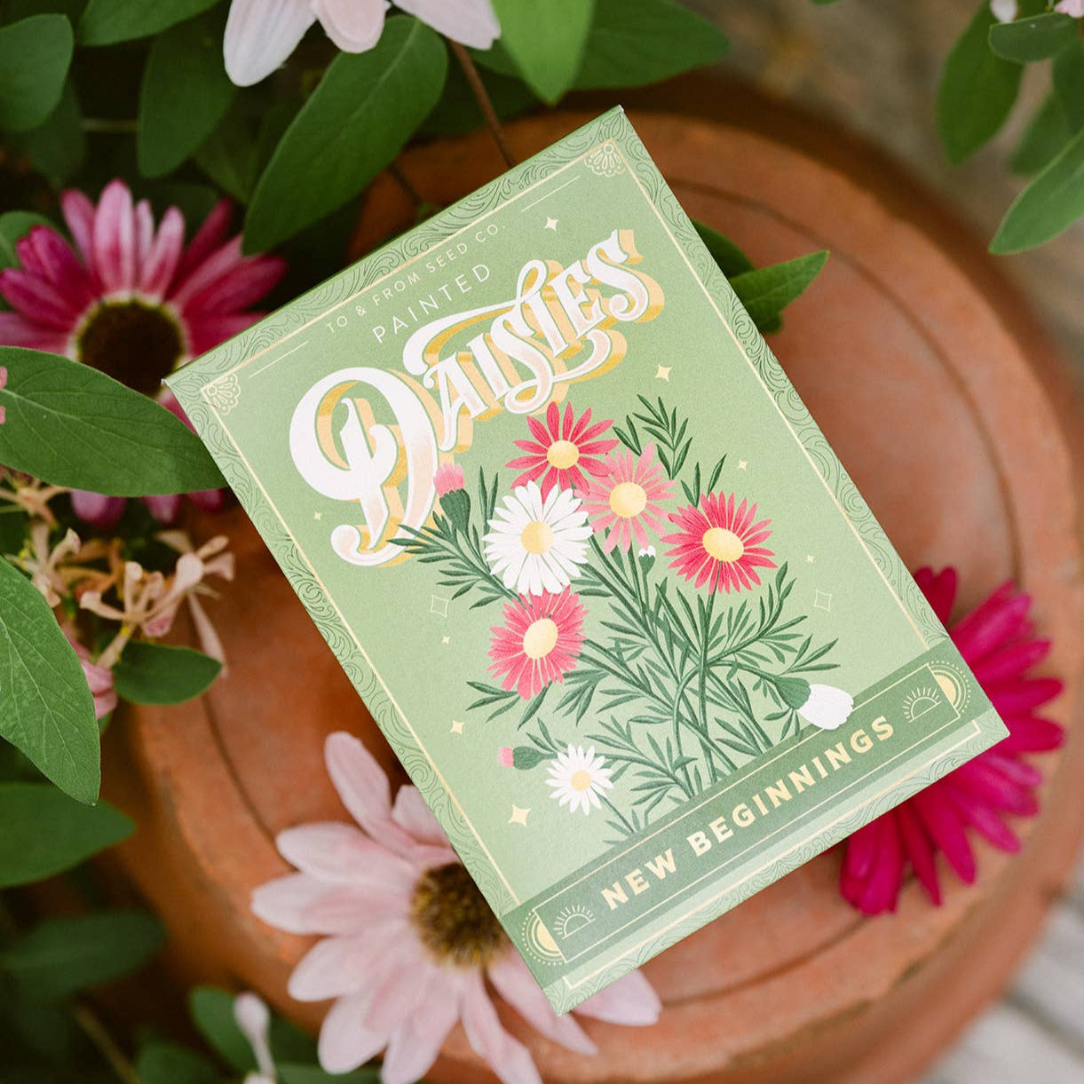 Seed Packet | New Beginnings (Painted Daisies)