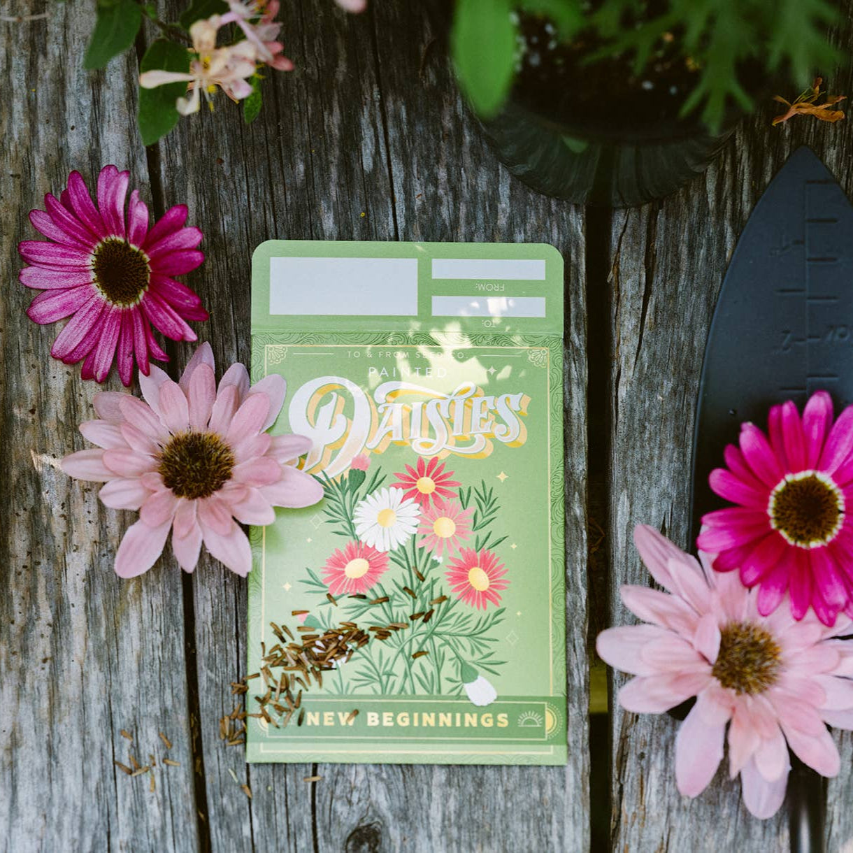 Seed Packet | New Beginnings (Painted Daisies)