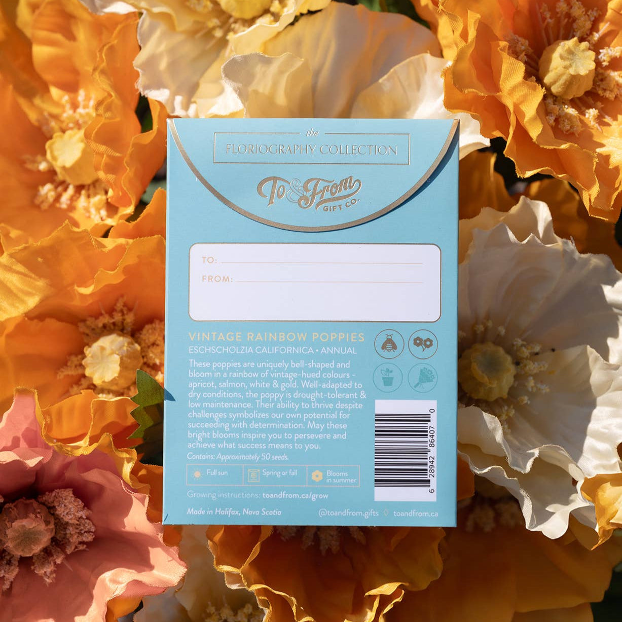 Seed Packet | Success (Rainbow Poppies)