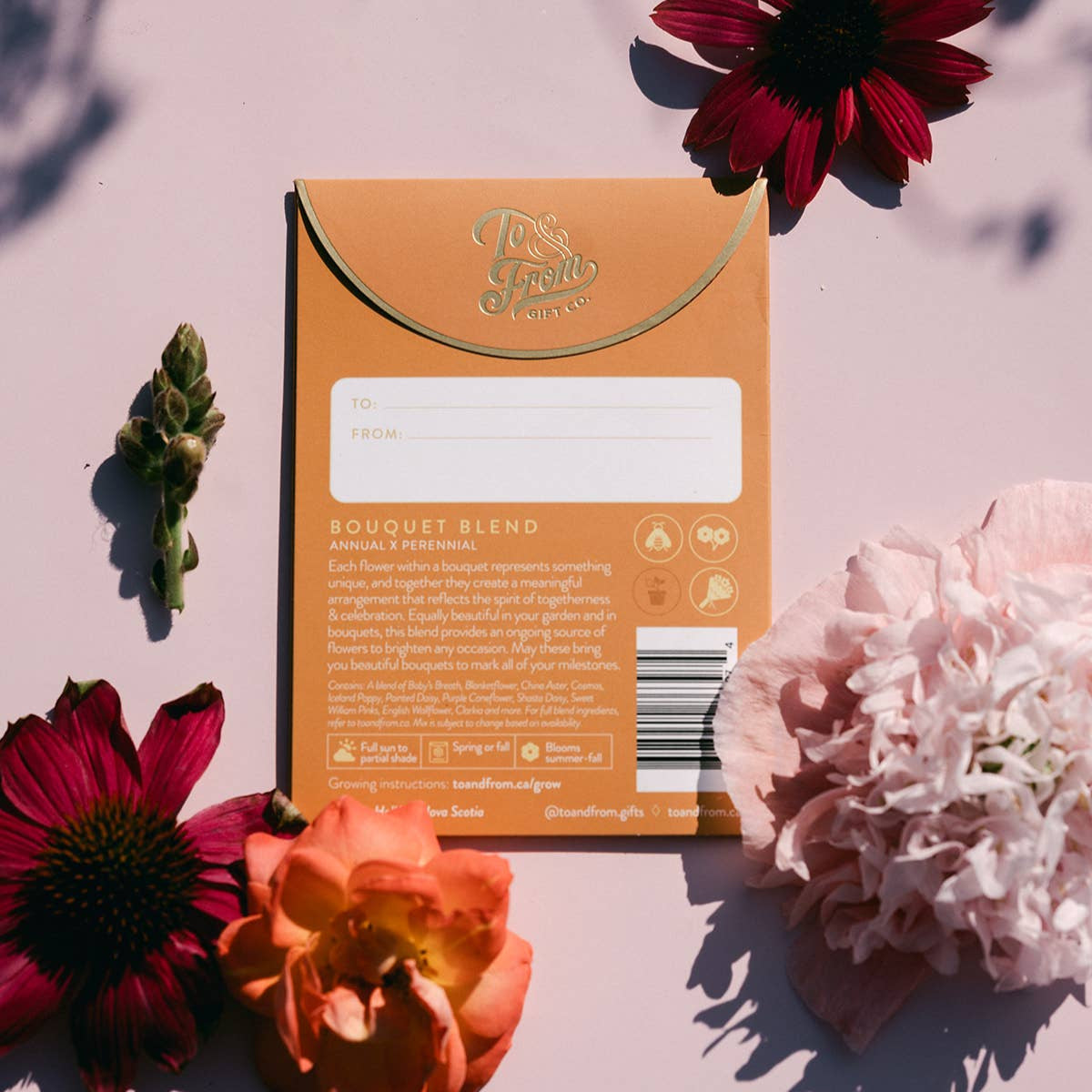 Seed Packet |  Celebrate (Grow Your Own Bouquet)