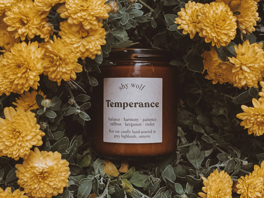 Tarot Candle - Temperance