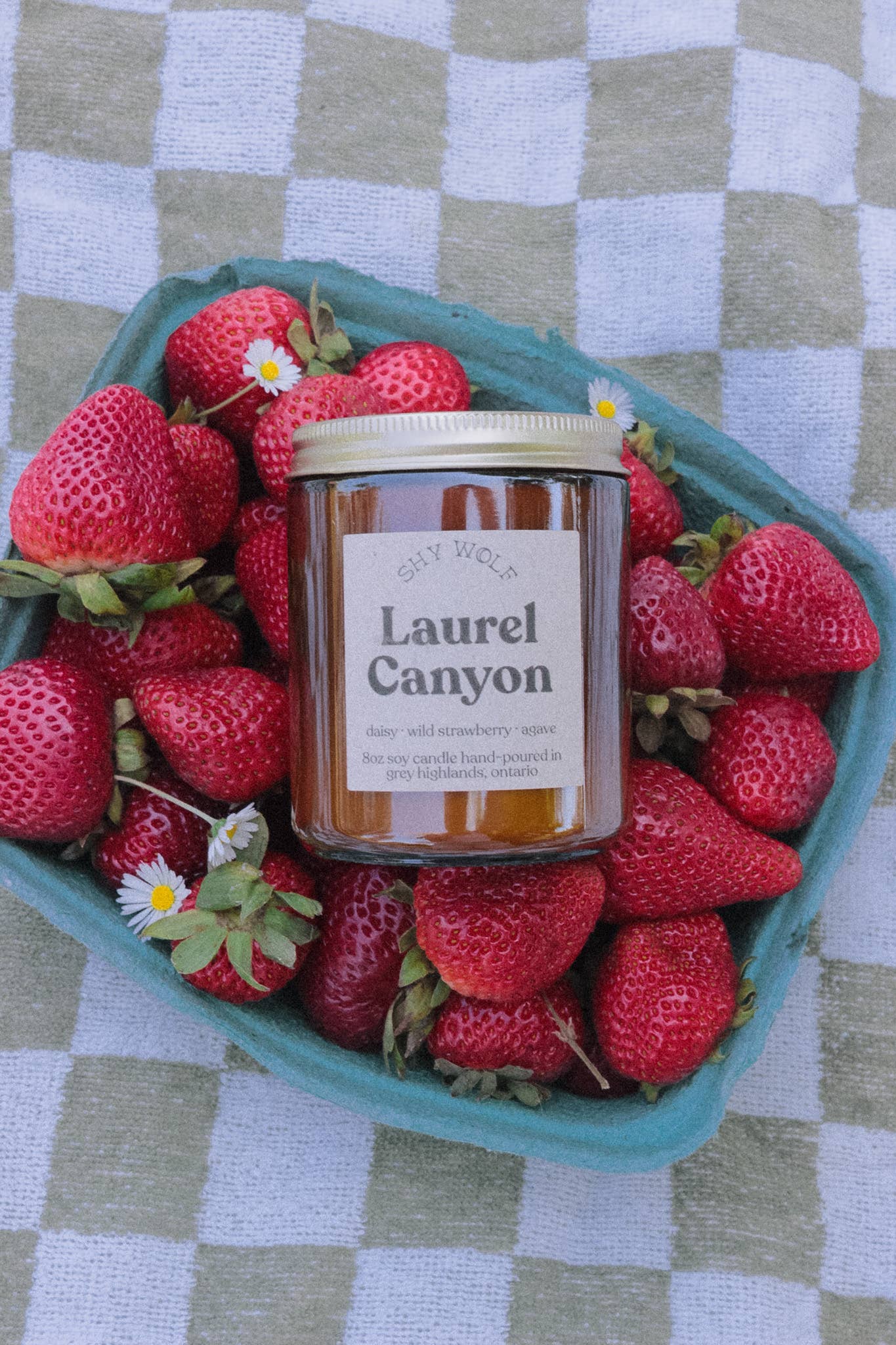 Candle | Laurel Canyon