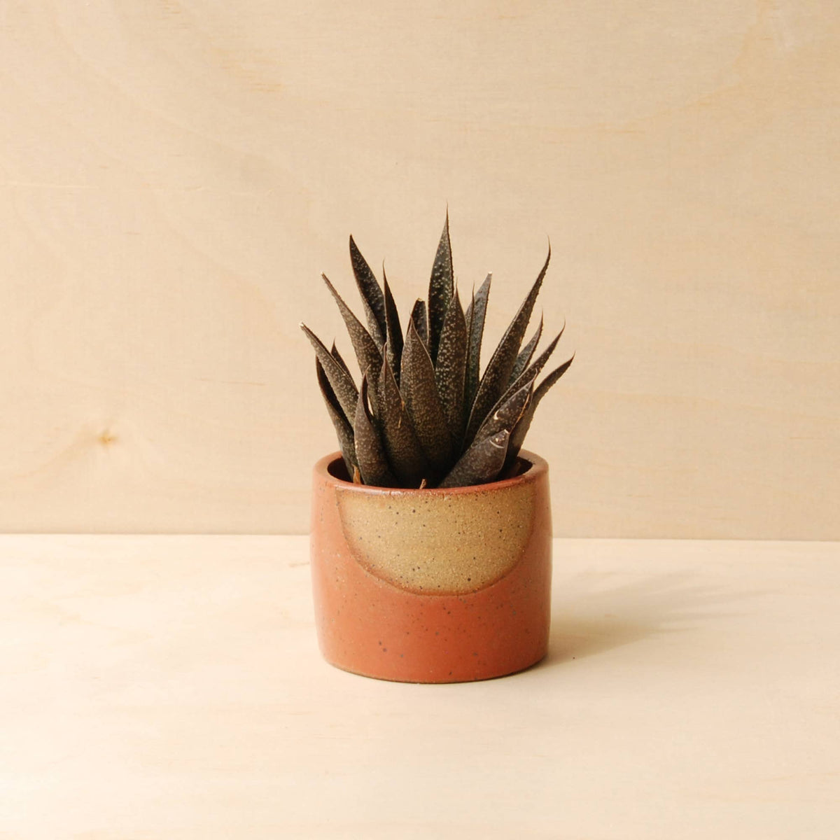 Small Ceramic Planter - Glow: Apricot
