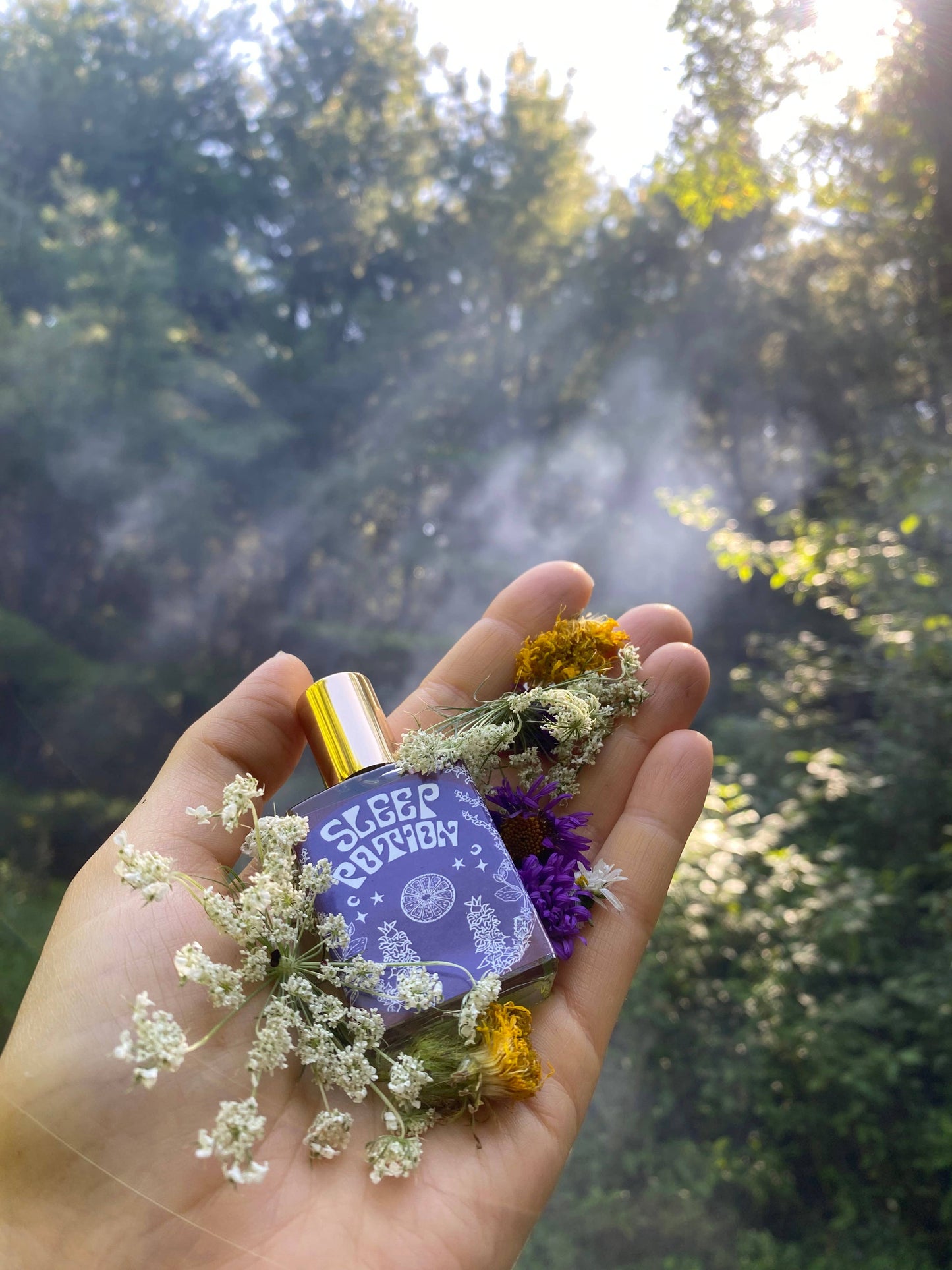 Sleep Potion