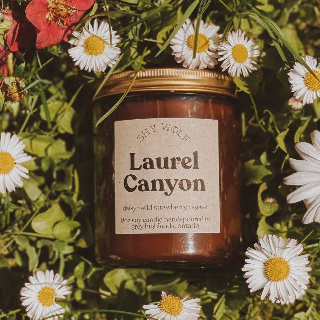 Candle | Laurel Canyon