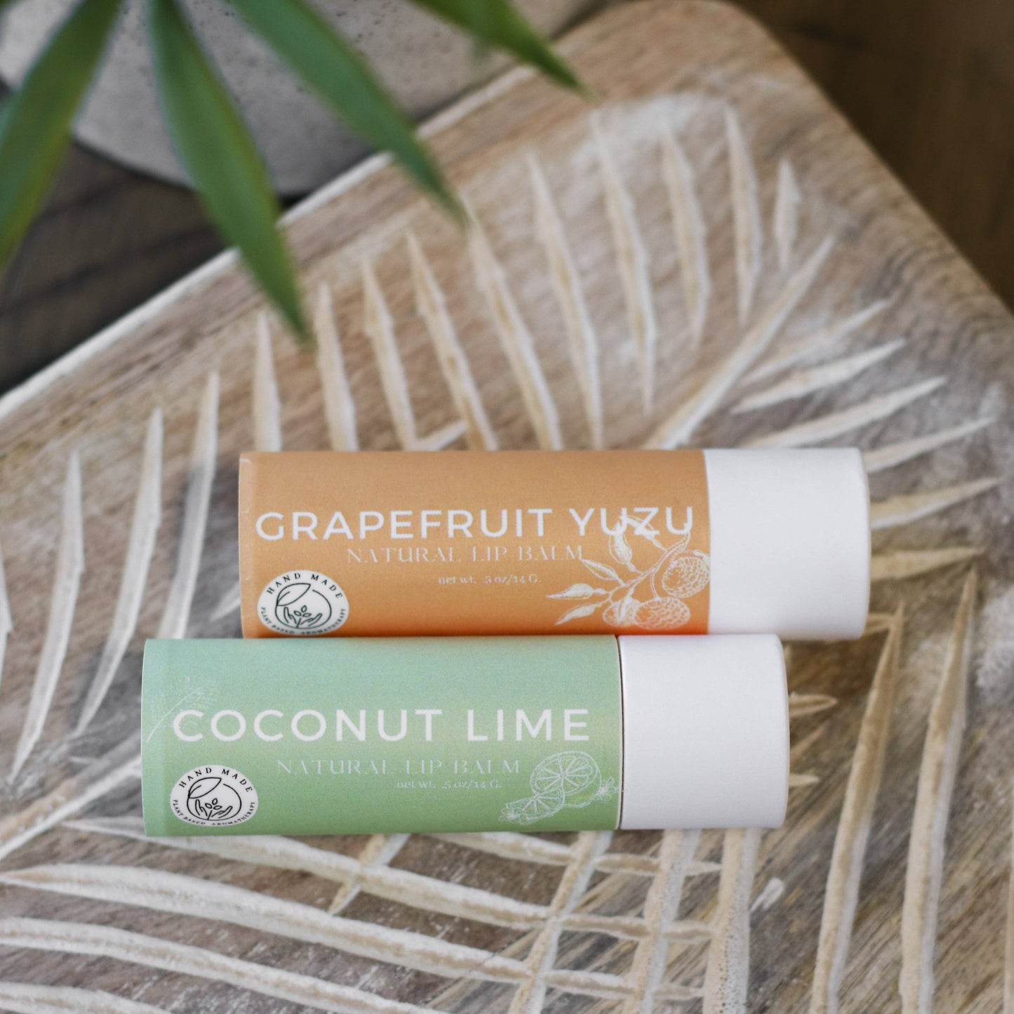 Lip Balm | Coconut Lime