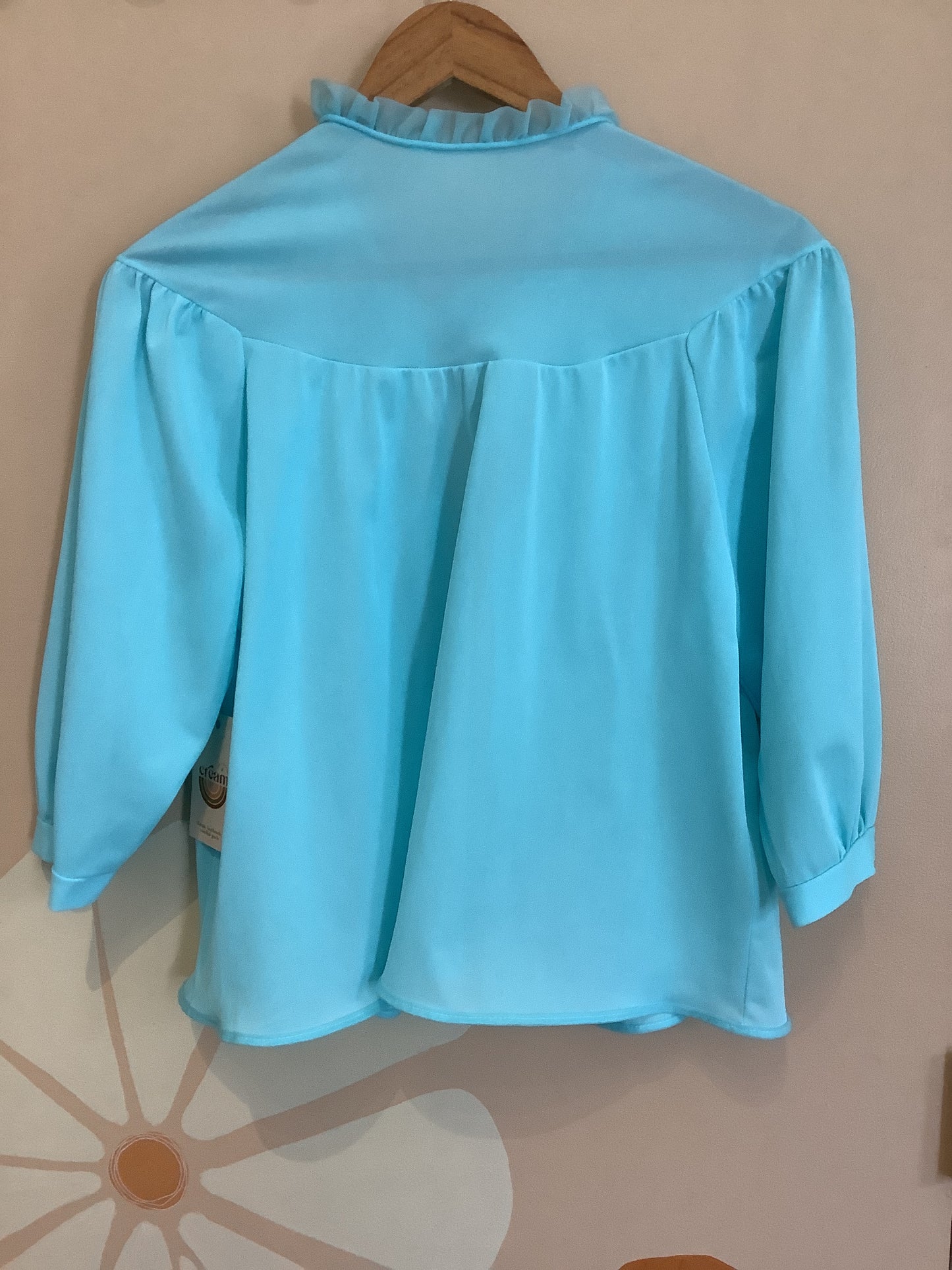 Vintage  |  Blue Frill Collar