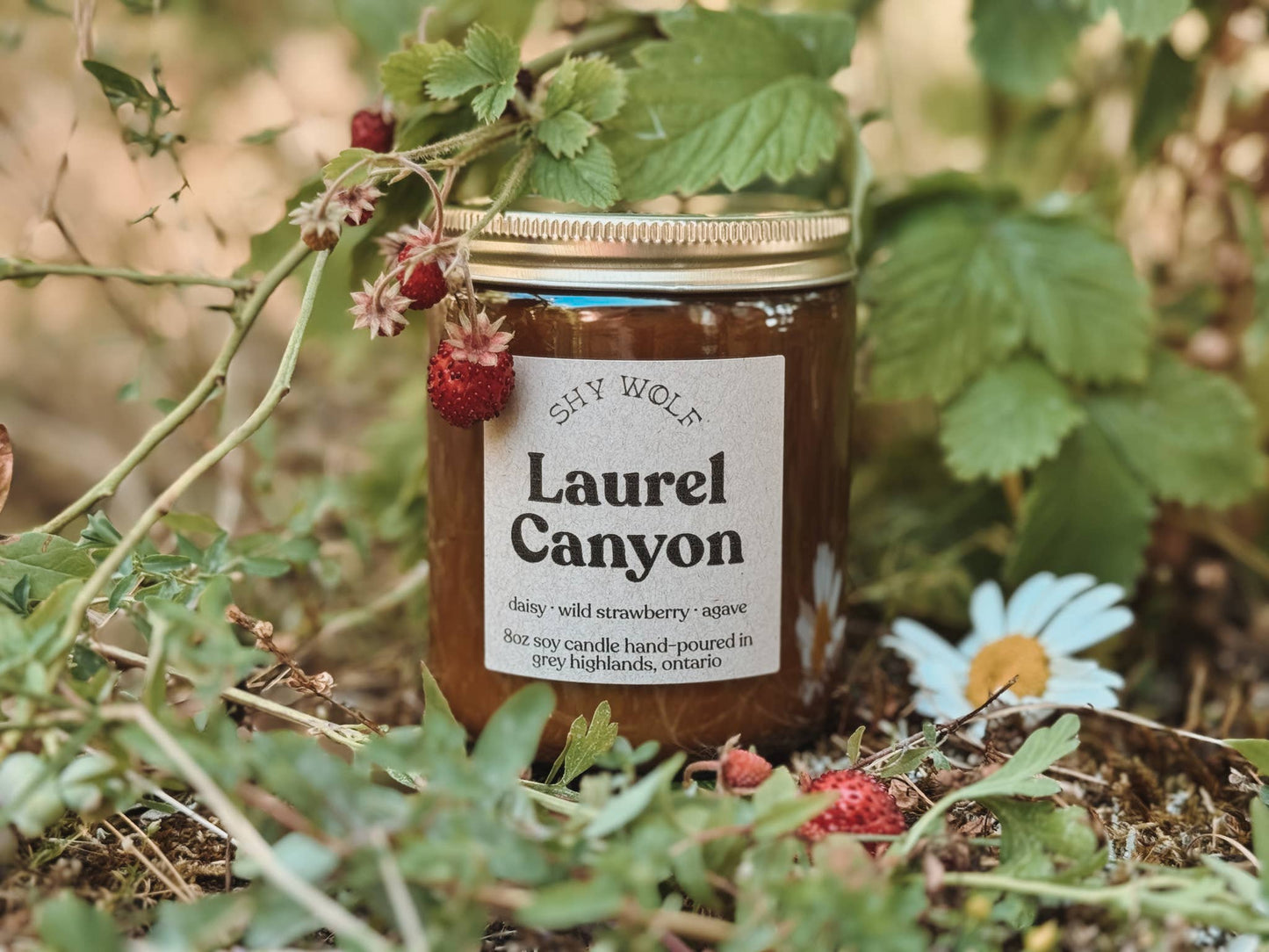 Candle | Laurel Canyon
