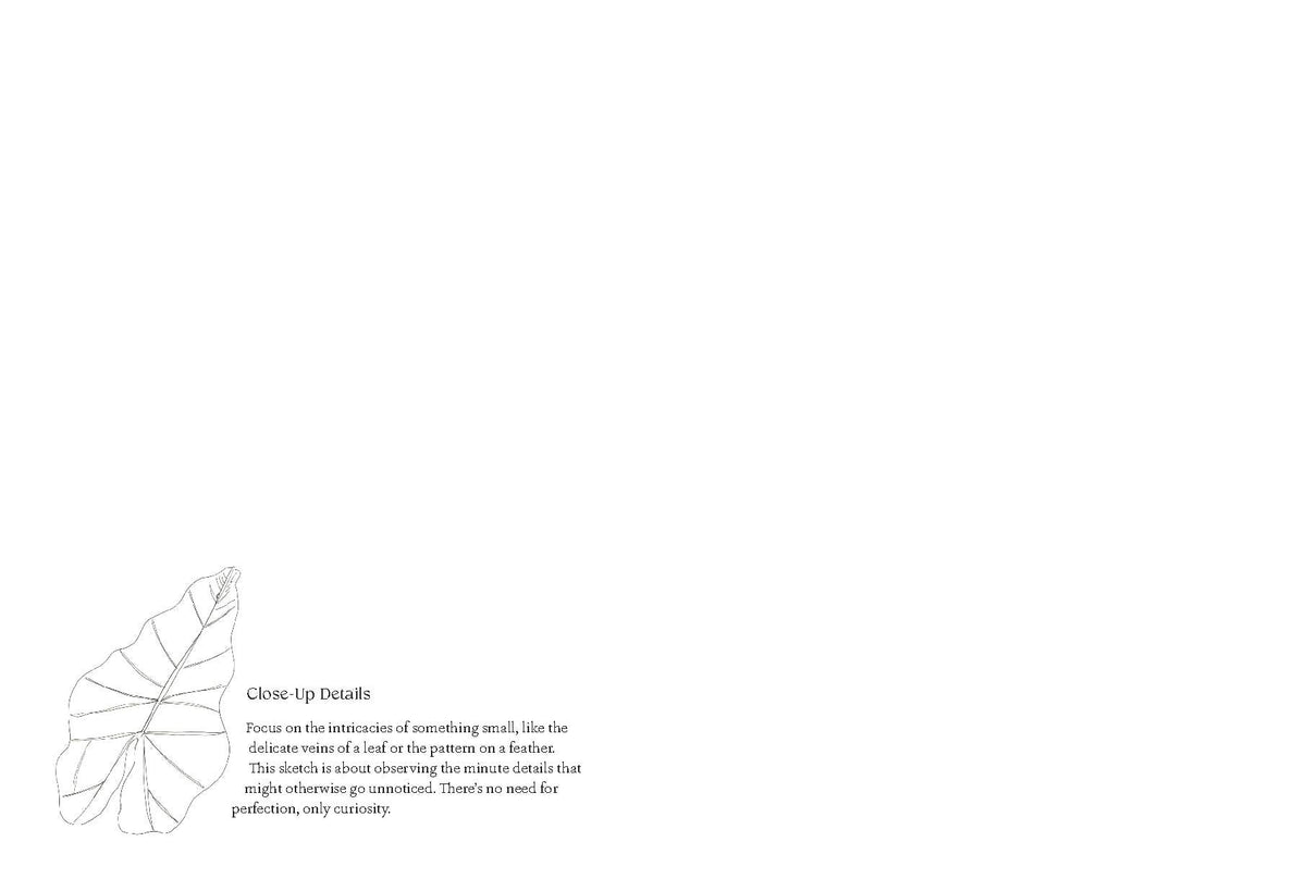 Quiet Moments: A Guided Sketchbook