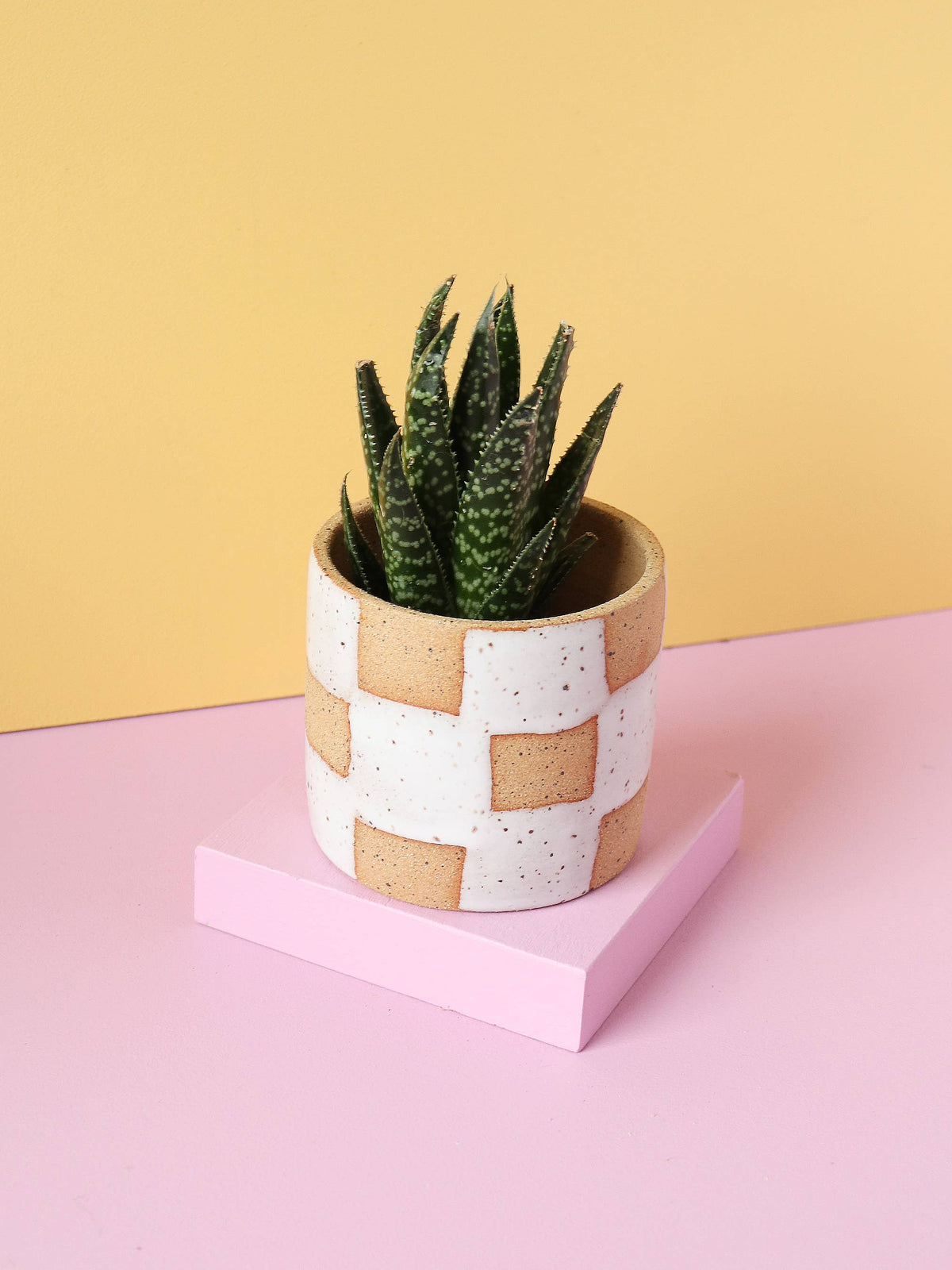 Handmade Ceramic Checkerboard Planter: White